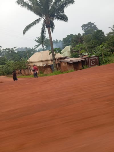 The image captures a blurred view of a dirt road in Imilike, Nigeria, with a prominent palm tree in the foreground. Two individuals are visible walking on the road, one in a dark garment and the other in a red shirt. In the background, several buildings are present, including a light-colored house with a tiled roof and a smaller, older structure with a corrugated metal roof. A decorative gate is also visible next to the smaller building. The scene is surrounded by lush green vegetation and trees, with a hazy sky overhead. Smoke is rising in the distance, suggesting activity such as cooking fires. The overall impression is of a rural or semi-rural setting.