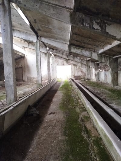 The image displays the interior of a derelict, single-story concrete structure situated in Klenovik, Bulgaria. The perspective views a central, unpaved walkway extending towards a brightly illuminated opening at the far end, suggesting an exit or large entrance. The structure is characterized by numerous thick, rectangular concrete columns supporting a flat concrete slab ceiling, which exhibits extensive weathering, staining, and visible signs of degradation, including some exposed rebar. Two long, parallel concrete channels, resembling troughs, run along the base of the walls, defining the central pathway. The ground of the walkway is composed of dirt and soil, with significant patches of green moss and sparse vegetation flourishing, particularly in areas exposed to natural light. The interior walls are rough, composed of concrete and possibly brick, with remnants of plaster or paint peeling away. Multiple smaller apertures and gaps in the ceiling and upper walls allow natural light to penetrate, creating distinct light and shadow patterns. No individuals are present. A dark, crumpled, bag-like object is visible on the ground against the left concrete channel in the foreground.