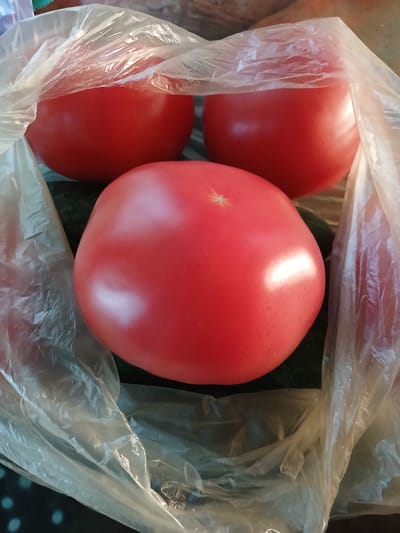 Three ripe, red tomatoes are visible in a clear plastic bag, partially obscuring them. One large tomato is in the foreground, centered in the frame, with two smaller tomatoes behind it. The tomatoes appear to be resting on a dark green vegetable, likely a cucumber. The background is indistinct and out of focus. The image was taken in Hlushky, Ukraine.
