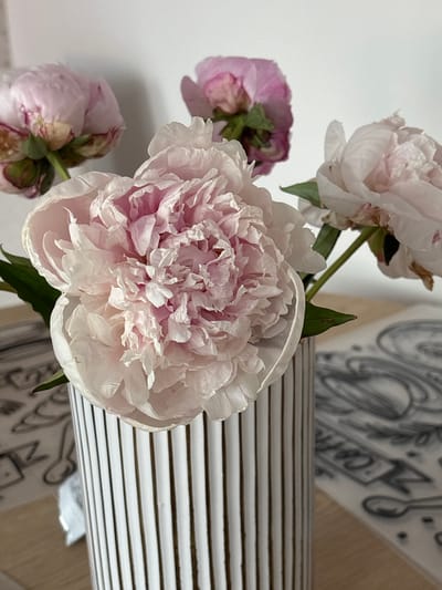 This image captures a close-up view of a bouquet of pink peonies in a striped vase. The peonies are lush and full, with delicate, ruffled petals in varying shades of pink and white. Some of the flowers are in full bloom, while others are still developing. The vase is cylindrical with a black and white striped pattern. In the background, a white wall is visible, and on a surface below the vase, there are some blurred, sketch-like drawings on a white sheet of paper. There are no people visible in the image, and no specific location in Kalisz, Poland is identifiable. The lighting is soft and natural, suggesting an indoor setting.