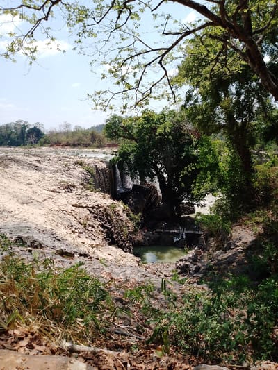 The image depicts a natural landscape featuring a waterfall and rocky riverbed under a clear, bright sky in Đức Lập, Vietnam. The upper portion of the frame shows sparse tree branches with light green leaves extending into a pale blue sky. The foreground consists of dry, rocky ground covered with patches of brown leaves and some green, grass-like vegetation. This rocky terrain descends sharply into a gorge, revealing dark, columnar basalt formations.
A waterfall cascades over these dark rock formations into a tranquil, greenish-brown pool of water below. Across this pool, a small, dark-colored pedestrian bridge, possibly made of wood or metal, connects two rocky banks. Dense green foliage and large trees with full canopies flank the waterfall and pool, primarily on the right side of the image. Beyond the immediate water feature, the landscape extends into a wide, flat expanse of light-colored, rocky ground, suggesting a riverbed, followed by a distant treeline and hazy hills on the horizon. No individuals or specific activities are discernible within the scene. The lighting indicates a sunny day.