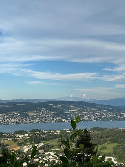 This image is a landscape photograph taken from a high vantage point, likely a hill or mountain, overlooking a lake and a city. The sky is a bright blue with scattered white clouds. In the middle ground, a large body of water, likely a lake, is visible, with a densely populated city lining its shores. The city appears to be comprised of numerous buildings with white roofs and a mix of architectural styles. Beyond the city and lake, rolling hills covered in dense green forests dominate the middle distance. In the background, a range of hazy blue mountains can be seen, their peaks faintly outlined against the sky. In the foreground, the branches of a leafy tree partially obscure the view, with its green leaves in sharp focus. The overall scene suggests a scenic view of a lakeside city nestled amongst hills and mountains, possibly in Switzerland, given the mention of Stallikon. The lighting indicates it is daytime, likely late morning or early afternoon. There are no people or discernible actions depicted in the image. The environment is natural and urban, with a clear division between the wilder, forested areas and the developed cityscape.