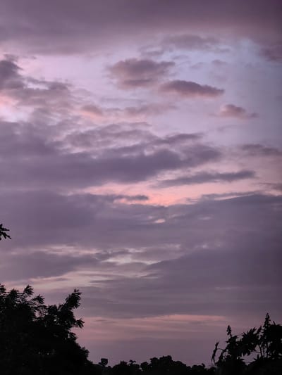 The image captures a twilight sky over Dattapur, India, characterized by a gradient of purple and pink hues. Clouds are present in varying densities, with some appearing thin and wispy, while others are thicker and more defined, tinged with a soft pink from the setting sun. In the foreground, the silhouettes of trees and foliage are visible against the sky, creating a stark contrast. The overall impression is one of a serene evening in a natural landscape within the vicinity of Dattapur.