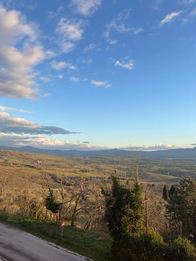 The image displays a panoramic landscape view of the Tuscan countryside, likely near Pienza, Italy, captured from an elevated vantage point on a hillside road. The scene is under a wide-open blue sky, which transitions from a deeper blue on the left to a lighter hue towards the horizon. Scattered white clouds, some wispy and others more voluminous, adorn the sky, catching the sunlight.

Below the sky, the rolling hills and valleys of the Italian landscape stretch into the distance. These hills are covered with a patchwork of agricultural fields, displaying various shades of green and brown, indicating cultivated land or dormant vegetation. A range of distant mountains or hills forms the hazy horizon line.

In the mid-ground and foreground, numerous trees dot the landscape. Many are bare, deciduous trees, their intricate branch structures visible against the fields, suggesting either late autumn, winter, or early spring. On the right side of the image, dense evergreen foliage, possibly shrubs or small trees, partially frames the view. A tall, bare tree stands prominently in the mid-ground.

The viewpoint appears to be from a paved road, a section of which is visible along the bottom right edge. On the roadside embankment, a small, triangular road warning sign with a red border and white interior is partially obscured by vegetation. A brown wooden pole or cross-like structure is also visible amidst the evergreen trees on the right.

The overall impression is one of serene natural beauty, with no people or specific activities depicted. The lighting suggests either late morning or late afternoon, with a gentle, warm light illuminating the scene.