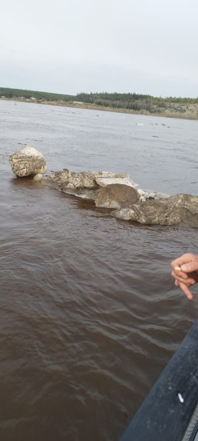 The image shows a river scene with ice floes. In the distance is the treeline typical of the geography of the city of Mokhsogollokh, Russia. In the foreground are ice floes in the water, partially brown with mud. A person's hand is visible on the right side of the image. The water is dark brown.