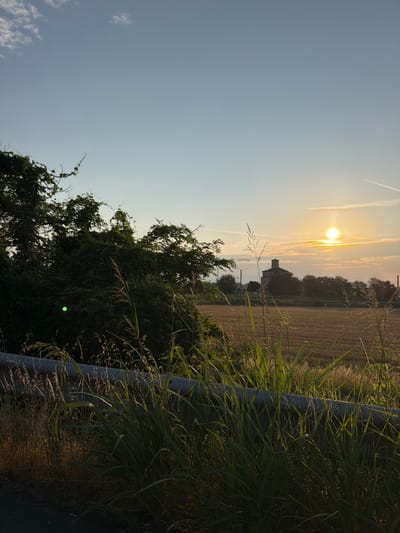 An outdoor, ground-level shot captures a rural landscape bathed in the warm glow of the setting sun, likely near Novara, Italy, given the common architectural style of the building and agricultural fields typical of the region. In the foreground, tall, dry grass and leafy green vegetation sprout from the edge of a paved surface, with a grey, weathered metal guardrail running horizontally across the frame. Beyond the vegetation, a golden field of harvested crops stretches towards the horizon, dotted with scattered trees and power lines. Dominating the middle ground is a rustic, multi-story stone building with a prominent tower, appearing to be an old farmhouse or rural estate. The sky above transitions from a clear, pale blue near the top to hues of yellow and orange near the horizon, illuminated by the bright sun. A wispy contrail from an airplane streaks across the upper right quadrant of the sky. There are no people visible in the scene, and no discernable actions are taking place.
