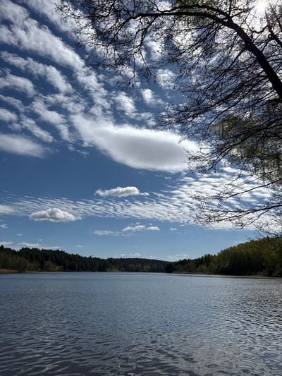 The image shows a landscape in Верцялішкаўскі сельскі Савет, Belarus. The right side features a body of water, possibly a lake, bordered by a dense forest along the shoreline. The left side reveals a blue sky filled with numerous altocumulus clouds, with a tree branch silhouetted in the upper-left corner. The scene appears to be taken on a bright, sunny day.