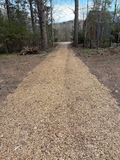 This image captures a tranquil outdoor scene, primarily featuring a well-defined path made of light-colored wood chips. The path extends from the foreground into the distance, gently curving towards the right.
On the left side of the path, a natural border of trees stands tall. Many are deciduous, currently bare of leaves, suggesting either late autumn, winter, or early spring. Scattered among them are evergreen conifer trees, adding touches of dark green foliage. Through the sparser tree cover, a distant valley or body of water can be glimpsed under a clear, light blue sky with some scattered white clouds. A prominent, thick-trunked tree stands close to the left edge of the path, roughly in the middle of the frame. Further back and partially obscured by the dense tree line, a dark-colored structure, possibly a building or shed, is discernible.
The right side of the path is largely covered in the same light-colored wood chips, with patches of darker earth and fallen leaves visible along the very edge. The wood chips are finely shredded and evenly spread, creating a distinct, textured surface for the path.
The scene is brightly illuminated by natural daylight, indicating either morning or afternoon, with subtle shadows cast by the trees. There are no individuals present, nor is any specific activity depicted, contributing to a sense of peaceful solitude. The overall atmosphere is serene and natural. No discernible text is visible within the image. The location is Мишкино, Russia.