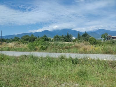 This is a landscape photograph taken in the vicinity of Plaka, Litochoro, Greece. The image captures a rural scene with a paved road running horizontally across the mid-ground. The road is bordered by lush green grass and wildflowers on the lower side, and dry, yellowish grass and vegetation on the upper side. In the background, a dense line of trees, including cypress and other deciduous varieties, forms a verdant screen. Beyond the trees, a range of majestic, blue-hued mountains dominates the horizon, with their peaks partially obscured by scattered white clouds. The sky above is a clear blue with wispy white clouds. On the far right, the corner of a building with a red-tiled roof is visible, suggesting human habitation in the area. A utility pole with wires is present on the left edge of the frame. The overall impression is one of natural beauty and tranquility in a mountainous region.