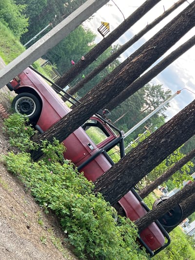 A red car is tilted on its side and partially submerged in lush green foliage, with several tall trees growing through its body. The scene appears to be in a rural or wooded area, possibly on the outskirts of Bolshaya Rechka, Russia, given the presence of a power pole and distant trees. The car's wheels are visible, as is part of its interior through the open door. There are no people or animals in the frame. The overall impression is one of abandonment and nature reclaiming the vehicle.