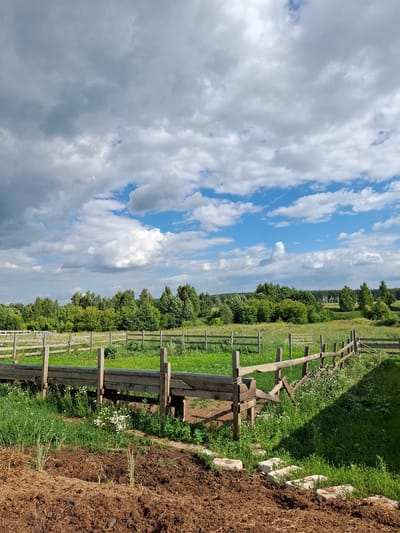 The image depicts a rural outdoor scene under a partly cloudy sky. In the foreground, there is a mound of dark brown soil with some dry straw and a few green shoots. To the right of the soil mound, a path of light-colored, irregular stones leads upwards. Behind the soil mound, a wooden fence runs horizontally across the image, enclosing a grassy area. This fence is constructed from rough-hewn wooden posts and planks, with some sections appearing aged or in disrepair.
Beyond the immediate fence, a larger, more substantial wooden structure, possibly a raised feeding trough or enclosure, is visible. This structure is also made of weathered wood. A second, lower wooden fence extends diagonally to the right, with a gate or opening in its middle section. White wildflowers are scattered amongst the green grass throughout the fenced areas.
In the mid-ground, a vast expanse of green grassland stretches towards a dense line of trees forming the horizon. The trees are a mix of deciduous and coniferous varieties, creating a lush, green backdrop. The sky above is a mix of blue patches and large, puffy white and grey clouds, suggesting dynamic weather conditions. The overall impression is one of a pastoral, possibly agricultural, setting. The scene is likely located in a rural area such as Косяково, Russia. No people are present in the image.