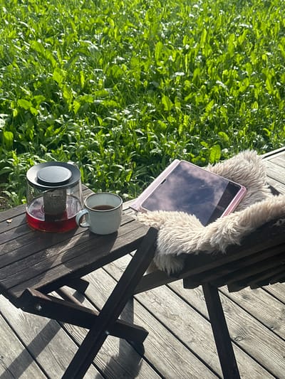A wooden table and chair are set on a wooden deck. On the table is a glass teapot filled with red liquid and a tea bag, and a ceramic mug filled with dark liquid. A pink tablet computer rests on a fluffy light-colored rug on the chair. In the background, a field of green grass and leaves is illuminated by sunlight. The scene is outdoors, likely in a rural or suburban area, with no specific landmarks visible to pinpoint a location in Znamenka, Russia.