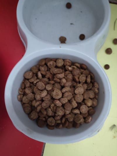 A close-up, top-down shot of a white, double-compartment pet bowl. The front compartment is filled with brown, round kibble. The rear compartment is empty, with a few scattered pieces of kibble and dust. The bowl is resting on a surface that is half red and half yellow. The image appears to have been taken indoors, possibly in a home. There are no people or animals visible in the image.