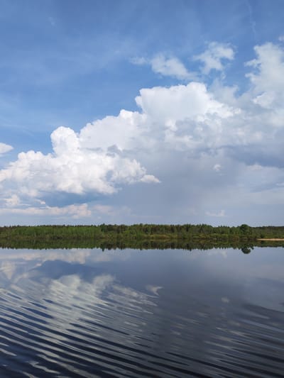 The image captures a serene landscape in Kochino, Russia. A body of water, likely a lake or wide river, dominates the foreground, its surface reflecting the sky above. Ripples disturb the otherwise mirror-like reflection of the clouds and trees. A line of trees forms the middle ground, their green foliage contrasting with the dark water. Above, the sky is filled with a mix of white, puffy cumulus clouds and patches of blue sky. The lighting suggests it is daytime. There are no people visible in the scene.