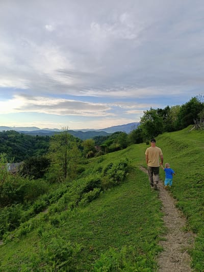 A medium-shot image captures a man and a young child walking away from the camera on a dirt path. The man, wearing a khaki t-shirt, dark trousers, and a baseball cap, holds the child's hand. The child, dressed in a blue shirt and shorts with yellow shoes, walks beside him. The path winds through a lush, green hillside with dense vegetation on either side, including ferns. In the background, a valley filled with trees stretches towards distant mountains under a cloudy sky. The image is taken in a rural area, appearing to be on the outskirts of the city of Yuada-Gulrypsh, Abkhazia.