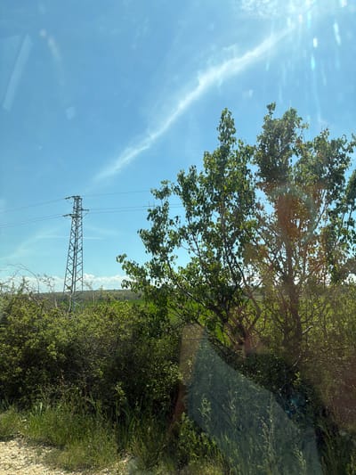 The image shows a landscape in Belovitsa, Bulgaria. A metal electricity pylon stands prominently against a blue sky streaked with wispy clouds. Trees and dense green bushes occupy the foreground and right side of the frame, partially obscuring the view. The sun is shining brightly, causing glare in the upper left corner of the image. The photo appears to be taken from within a vehicle, as evidenced by reflections and the angle of the shot.
