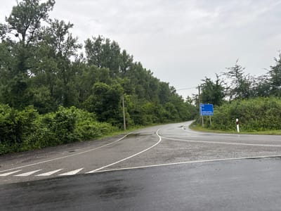 A wet, asphalt road with white lane markings curves to the right under an overcast sky, bordered by lush green trees and dense foliage. A blue road sign with white text is visible on the right side of the road, indicating "ABASHA" and "16 KM". A white and red striped post stands near the sign. The environment appears to be rural, possibly in the area of ნიგოითის თემი, Georgia. There are no people visible in the image.