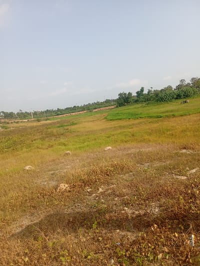 A panoramic view of a landscape in Karsana 2, Nigeria, shows a gently sloping field covered in dry, yellow grass in the foreground. The grass is interspersed with patches of green vegetation and scattered rocks. Further in the background, the terrain becomes more verdant with lush green grass. A line of trees with dense foliage forms a natural boundary in the middle ground, with some structures and utility poles visible behind them. The sky is clear and light blue, with a few faint clouds. The overall impression is of an undeveloped, semi-arid rural or semi-rural environment. There are no people or animals visible in the immediate foreground.