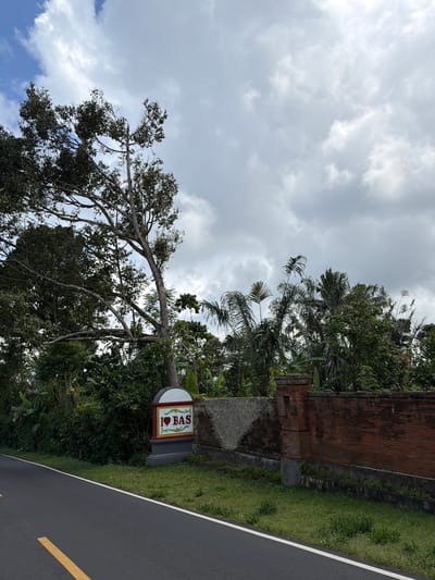 The image captures a roadside view in Susut, Indonesia. A paved road with a yellow and white line runs along the left side of the frame, bordered by lush green grass. To the right of the road, a sign with the text "I ❤️ BAS" is prominently displayed. Behind the sign, a reddish-brown brick wall stretches horizontally, with a section of rough concrete wall to its left. The landscape is dense with tropical vegetation, including trees with large leaves and palm trees, under a cloudy sky. The overall scene depicts a natural, rural setting typical of the region. There are no people or discernible actions in the image.