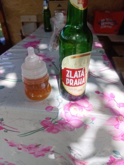 The image depicts a still life on a table covered with a floral tablecloth, likely in Dumeni, Moldova. A green glass bottle of Zlatá Praha beer stands prominently on the right side, its label featuring an illustration of Prague Castle and the text "ZLATÁ PRAHA". To the left of the beer bottle is a small, clear plastic baby bottle filled with a amber-colored liquid, possibly honey or a beverage. The background shows a wooden structure, suggesting an outdoor setting, possibly a porch or gazebo. Sunlight casts shadows on the table, highlighting the textures of the tablecloth and the objects. A partially visible green bottle is in the background on the left. The overall scene conveys a relaxed, informal atmosphere.