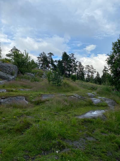 The image depicts a natural landscape in Lakhdenkiulya, Russia, on a cloudy day. The scene is dominated by a rocky, grassy slope leading upwards towards a stand of evergreen trees. Large, grey rocks are interspersed with lush green grass and some dry, straw-like vegetation. In some areas, the rocks appear wet, suggesting recent rain or damp conditions. A narrow, worn path is visible winding its way up the slope.
The sky above is filled with a mix of white and grey clouds, creating a somewhat overcast atmosphere. The tops of the evergreen trees are silhouetted against the sky, with some branches extending into the frame from the top and right sides. The overall impression is one of a rugged, natural environment, likely a hiking trail or a wild, uncultivated area. There are no people or specific objects visible, making the focus solely on the natural scenery. The time of day is not clearly indicated, but the lighting suggests it is daytime.