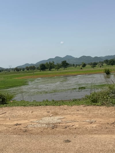 The image depicts a rural landscape with a body of water in the foreground, likely a flooded field or pond. Beyond the water, lush green fields stretch towards a line of distant, undulating hills. Scattered trees dot the landscape, and a power pylon is visible in the far left background. The sky is a clear, pale blue. The foreground consists of a dirt road with gravel scattered across it. There are no people clearly visible in the image. The scene is calm and natural, characteristic of a rural environment. This image is located in Lankoviri, Nigeria.