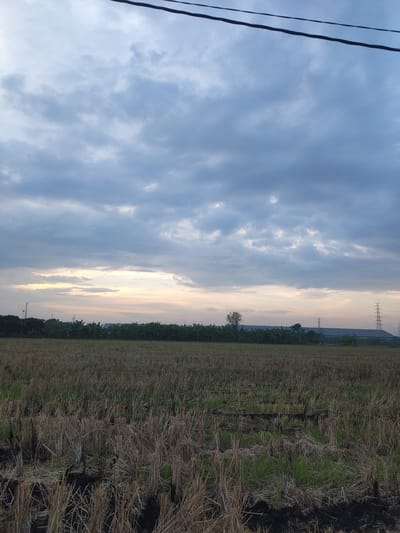 The image depicts a rural landscape in Banjarkemantren, Indonesia, under a cloudy sky. The foreground is dominated by a harvested rice field, with dry stubble and some charred areas. In the midground, a line of trees, including banana trees, separates the field from a distant industrial area. Several tall electricity pylons are visible on the right side of the frame, suggesting the presence of power infrastructure. The sky is filled with a mix of dark and lighter clouds, with a faint glow of sunset or sunrise visible on the horizon. Power lines are present at the top of the image. No people are visible in the scene.