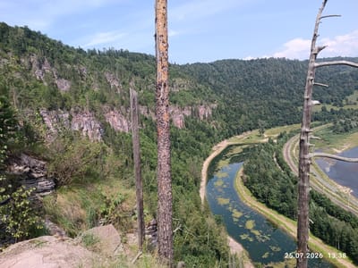 The image depicts a natural landscape with a winding river and dense green forest. In the foreground, two dead trees stand vertically, one with a rough, textured bark and the other more skeletal. The river, partially covered with green algae, curves through the valley, bordered by a railway line and a dirt path. The background features steep, rocky cliffs overgrown with trees. The sky is blue with scattered white clouds. A timestamp "25.07.2026 13:38" is visible in the lower right corner. The location is identified as Brishtamak, Russia.