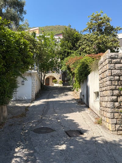 The image displays a sunlit, narrow alleyway or path in Nerin, Montenegro, leading gently downwards between structures and dense vegetation. The path, made of concrete or asphalt, shows signs of cracks and wear. Long, distinct shadows from trees fall across its surface, indicating a bright, sunny day, likely during the morning or late afternoon, under a clear blue sky.
On the right side of the path, a prominent stone wall is visible, partially covered with green and reddish-brown vines and bushes. Below this wall is a light-colored building with a small, rectangular window set into its facade. Further along the path on this side, another building features a distinctive arched entrance with a brown wooden door.
The left side of the path is bordered by lush green trees and shrubs. Partially obscured by this foliage is a white building, to which a smaller, stone-accented structure is attached. A grey rectangular box, possibly an intercom or mailbox, is mounted on the white wall of this structure, bearing the visible text "D. KNEZEVIC" and "20".
In the background, beyond the buildings and dense greenery, a verdant, forested hillside rises against the cloudless blue sky. Two manhole covers are embedded in the path: one square, closer to the foreground, and another round/oval-shaped one further down. No people or specific activities are depicted in the scene.