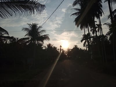 The image depicts a rural road in Blang Mee, Indonesia, during either sunrise or sunset. The sky is partly cloudy with the sun low on the horizon, casting a warm glow and creating lens flare across the scene. The road itself is unpaved and appears to be made of dirt or gravel, with some evidence of tire tracks.
Silhouetted against the bright sky are numerous palm trees, characteristic of the tropical landscape. The trees form a dense canopy on either side of the road, creating a shaded effect. Some electrical wires are visible strung across the upper portion of the image, indicating the presence of electricity in the area.
On the left side of the road, partially obscured by shadows, is a signpost with some text and graphics, though it is too indistinct to be clearly read. There are no people clearly visible in the frame, but the overall impression is of a quiet, natural setting on the outskirts of a settlement. The image captures a serene moment in a tropical environment.