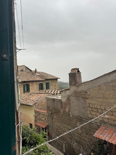 The image shows a view in Castelnuovo di Porto, Italy. The perspective is looking up at buildings constructed of brick and stone. The sky is overcast. A chimney is visible on one of the buildings. The buildings have roofs of red tile. Some windows have green shutters. Power lines run through the scene. A bush with green leaves is visible in the lower right of the frame. A green structure is in the lower portion of the image and appears to be a window or railing.