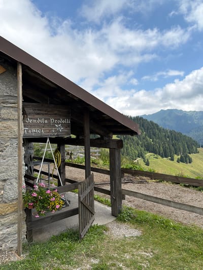 A rustic wooden sign hangs from the dark brown eaves of a small, stone and wood building. The sign, written in white gothic script, reads "Vendita Prodotti Tipici," which translates to "Sale of Typical Products." Below the text, a stylized white edelweiss flower is painted. A hanging basket filled with pink and yellow flowers is suspended from the eaves near the sign, next to a yellow hose. A dark wooden gate, partially ajar, leads into the building's sheltered area. The building itself is constructed with rough, grey stone on the left and weathered wood on the right. Beyond the gate, a graveled path leads further into the property.
The scene is set against a backdrop of rolling green hills covered in dense evergreen trees. A winding path can be seen ascending the hillside. In the distance, majestic mountains rise under a partly cloudy blue sky. The ground in front of the building is covered in grass and scattered stones. The overall atmosphere suggests a small, rural establishment in a mountainous region, likely in the Italian Alps, given the signage and landscape. The location is specified as Raveo / Raviei, Italy. There are no people visible in the image.