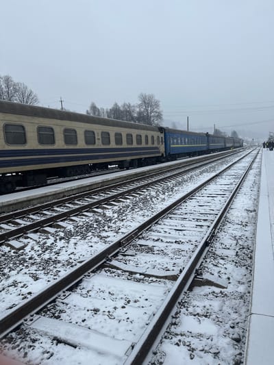 This overhead shot depicts a snow-covered railway scene in Yasinya, Ukraine, on an overcast winter day. The perspective is elevated, looking down along multiple sets of train tracks that recede into the distance.

In the foreground and extending towards the mid-ground on the left, two stationary train cars are visible on one set of tracks. The car closest to the viewer is a light beige or cream color with horizontal blue stripes along its lower section and multiple rectangular windows. Faint text, including "05" and "61", is partially visible on its side. Behind this car, a blue train car with distinctive yellow accents along its roofline is coupled.

The railway tracks, sleepers, and surrounding ballast are blanketed in a layer of fresh snow, interspersed with dark gravel. Overhead power lines are visible running parallel to the tracks, indicating an electrified railway. The sky is a uniform, bright grey, characteristic of heavily overcast winter weather, and the air appears hazy. Bare trees line the left side of the tracks in the mid-ground, their branches dusted with snow. In the far distance, faint outlines of what appear to be railway signals or other structures can be discerned. No people are visible in the scene, conveying a sense of quiet and solitude amidst the cold, snowy environment.