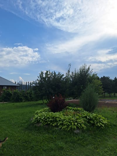 In the city of Atamanovka, Russia, this image captures a suburban landscape under a partly cloudy blue sky. A dark-roofed, wooden house with a visible air conditioning unit is situated on the left side of the frame, partially obscured by lush green foliage and a vine-covered fence. Beyond the house and fence, a line of tall, slender trees stands against a backdrop of distant hills.
The foreground is dominated by a well-maintained lawn. In the center of the image, a landscaped garden bed features a dense arrangement of broad-leafed green plants, likely hostas, interspersed with some reddish foliage and a conical evergreen shrub. Several large rocks are incorporated into the garden bed's design. To the far left, a portion of a dog, appearing to be a German Shepherd mix, is visible. The background reveals more trees and a dirt path or clearing, suggesting a rural or park-like setting. The overall impression is one of a peaceful, verdant outdoor space.