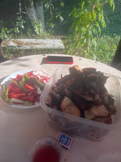 In an outdoor setting, possibly Rakhinka, Russia, a table is set for a meal. A white plate holds a salad of chopped tomatoes, cucumbers, and radishes. Next to it, a clear plastic container is filled with grilled meat, appearing to be chicken or pork, with some pieces charred. A glass of red liquid, likely a beverage, sits in the foreground. A box of matches is placed near the glass. A red smartphone rests on the table in the background. The scene is partially shaded by a green mesh screen, through which sunlight filters, illuminating lush green foliage.