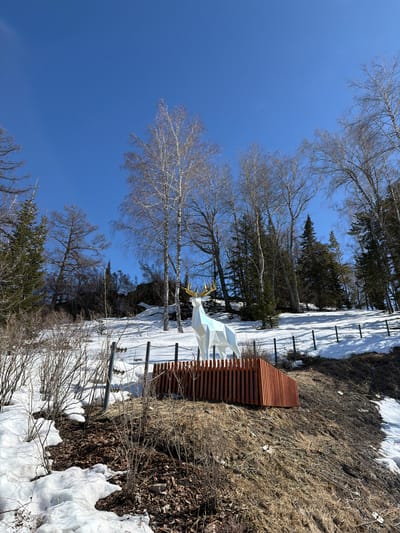 A sculpture of a white, geometric-style deer with golden antlers stands in a snowy landscape adjacent to a wooden bench in Ozernoe, Russia. Patches of snow are visible in the brown grassy areas, beneath bare trees, and near a fence line. The sky is clear and blue.