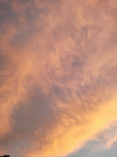 This media file captures a sky filled with dramatic clouds at sunset. The clouds are painted in vibrant hues of orange, pink, and yellow, transitioning into softer tones of purple and gray, suggesting the ambient light of dusk. Wispy, streaky formations are evident, characteristic of cirrus or altostratus clouds catching the last rays of the sun. Towards the bottom left corner, the dark silhouette of trees is visible, hinting at a terrestrial landscape below the expansive sky. The overall impression is one of a serene yet visually striking natural phenomenon. The time of day is clearly sunset, and the weather appears to be clear enough for the sun's light to illuminate the clouds so vividly, though the clouds themselves indicate atmospheric moisture. There is no visible text in the image. The scene evokes a sense of peace and awe at the beauty of nature.