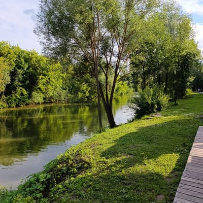 This media file depicts a tranquil riverside scene in Sdt Shcherbakovka, Russia. The primary subjects are the natural elements: a calm, reflective river, lush green trees and vegetation lining its banks, and a grassy area with a wooden walkway. The time of day appears to be late afternoon or early evening, as indicated by the soft, angled sunlight casting shadows across the grass. The weather seems pleasant, with a partly cloudy sky visible in the distance.

The setting is a park or recreational area, evident from the well-maintained grass, the presence of a wooden path, and the indication of people in the distance. The overall mood is peaceful and serene, evoking a sense of natural beauty and relaxation. The river's surface mirrors the surrounding greenery, creating a sense of depth and harmony. Small white flowers are scattered throughout the grass, adding a touch of delicate detail to the scene. In the far distance, a few people can be seen walking along the path, suggesting this is a place for leisure and recreation. There is no visible text in the media file.