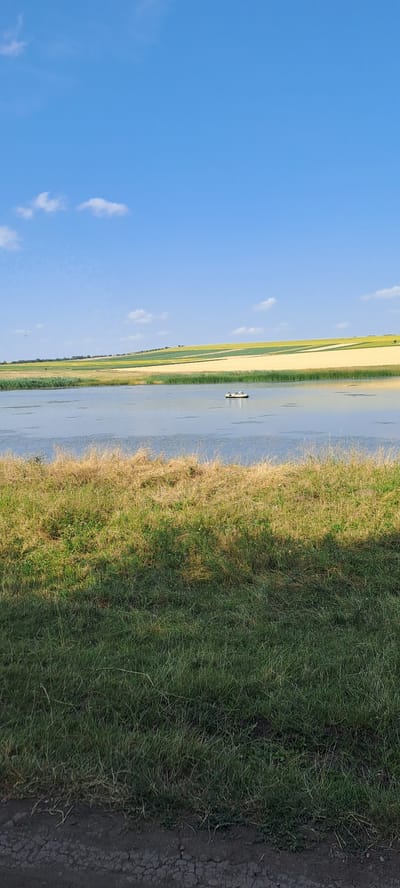 In Mărineşti, Moldova, a wide, calm body of water occupies the middle ground of the image. A small, light-colored boat with several people aboard is positioned on the water towards the right side of the frame. The water reflects the bright blue sky, which is dotted with a few wispy white clouds. The horizon is marked by gently rolling hills covered in agricultural fields, with distinct bands of green and yellow crops. In the foreground, a strip of tall, dry grass transitions to a patch of green grass, with a dark, somewhat cracked surface, possibly a dirt path or road, at the very bottom of the image.
