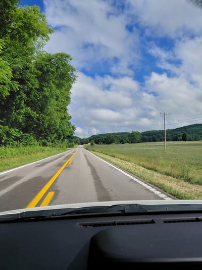 The image depicts a view from inside a vehicle traveling on a two-lane road. The road is wet, with visible streaks of water on the asphalt and bright yellow lane markings. To the left of the road is a dense line of lush green trees, and to the right is a wide-open field of green grass dotted with small white flowers, bordered by rolling hills covered in trees in the distance. A utility pole with power lines stands in the field on the right. The sky is a vibrant blue with scattered white cumulus clouds. The foreground shows the dashboard and windshield wiper of the vehicle. There are no people or animals visible. The scene suggests a rural or suburban setting, likely during daytime. The location is not specified as Olympia, United States in the image.