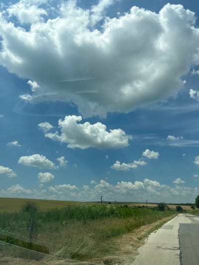 The image depicts a rural roadside scene in the vicinity of Voivodino, Bulgaria, on a bright, sunny day with a dynamic sky filled with white and gray cumulus clouds against a clear blue backdrop. A paved road, showing signs of wear with patching, curves away into the distance on the right side of the frame. To the left of the road, a strip of dry grass and various green plants, including taller weeds and bushes, line the shoulder. Beyond this vegetation, a rolling landscape of cultivated fields, predominantly a muted golden-yellow, stretches towards a distant horizon. A few scattered trees and utility poles are visible in the middle ground and along the horizon. The overall impression is one of a summer day in an agricultural region. There are no people or animals visible in the image.