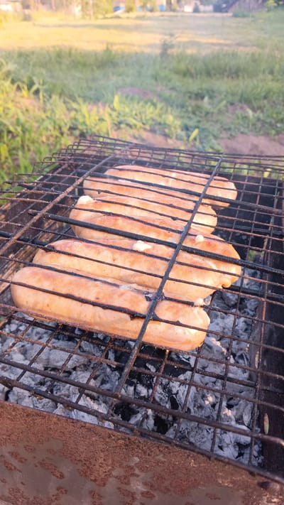 In the village of Doktaravichy, Belarus, a rustic barbecue is underway as several plump, browned sausages sizzle on a metal grill over glowing coals. The grill, weathered and showing signs of use, is positioned outdoors, with a backdrop of lush green grass and distant trees bathed in the warm light of what appears to be either sunrise or sunset. The sausages, arranged in a row, are glistening and some show small bursts of fat as they cook. The ground beneath the grill is covered in white ash, remnants of the fire that heats the food. The scene is one of simple outdoor cooking, with the natural environment providing a peaceful setting.
