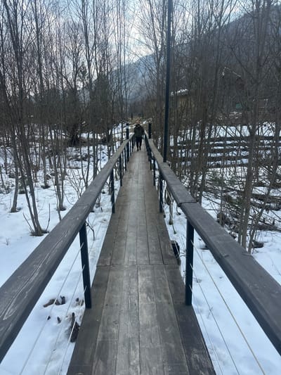 The image captures a winter scene on a narrow wooden pedestrian bridge in Korostiv, Ukraine. The bridge, constructed from dark grey wooden planks, features matching wooden handrails supported by black vertical metal posts and multiple horizontal metal cables serving as balusters. A single individual, dressed in a dark green jacket, dark trousers, and a dark beanie hat, walks away from the camera, positioned approximately halfway across the bridge. The ground on both sides of the bridge is covered in white snow, from which numerous bare deciduous trees and some small shrubs emerge. A large, dark, possibly forested mountain or hill dominates the background under a light, hazy sky. Remnants of wooden fencing and faint structural outlines are visible through the trees on the right side of the bridge.