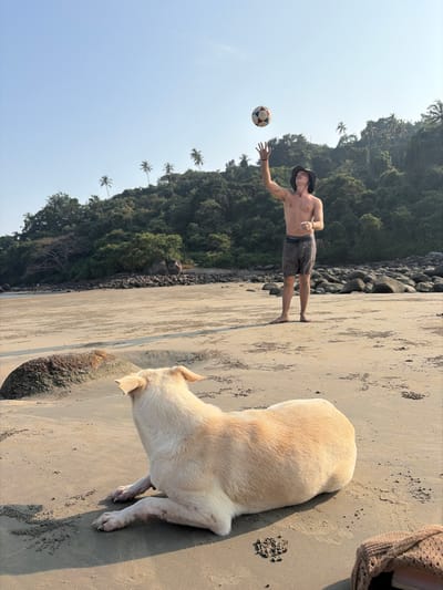 On a sandy beach in Kolamb, India, a light-skinned male stands barefoot, shirtless, wearing dark patterned swim shorts and a dark bucket hat. He is positioned center-right, looking upwards, with his right arm extended, about to catch or having just thrown a multi-colored soccer ball that is airborne above his hand. His left arm is bent at the elbow. In the foreground, lower-left, a light-colored dog with short fur lies on the sand, facing away from the camera and towards the male figure. Small, textured formations in the sand, possibly from crab activity, are visible around the dog and in the middle ground. In the far background, a lush green hill covered with dense vegetation and several prominent palm trees rises against a clear, light blue sky. Dark rocks are scattered along the base of the hill and extending onto the beach in the midground, particularly on the right side. A partially visible woven bag is present in the lower right corner of the frame.