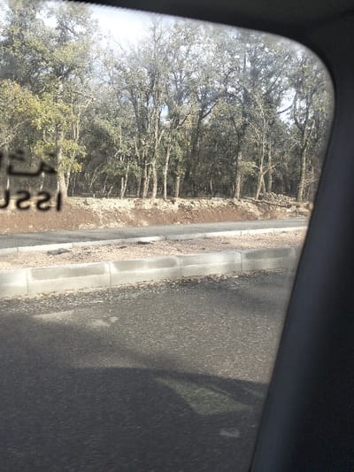 The image depicts an exterior roadside scene observed from the interior of a vehicle, in Ait Naamane, Morocco. The foreground shows a segment of dark asphalt road, partially obscured by shadows from the vehicle's interior. A grey concrete curb system delineates the asphalt from a gravelly shoulder. Beyond the shoulder, a reddish-brown dirt embankment rises, exhibiting exposed roots. The background is dominated by a dense, deciduous forest composed of numerous trees with mostly bare or lightly foliated branches, suggesting a cool season. The sky is partially visible through the upper tree canopy. A faint, reversed reflection of Arabic text and alphanumeric characters (e.g., "عسسU22I") is present on the upper left portion of the vehicle's window. No individuals or specific actions are visible within the frame.