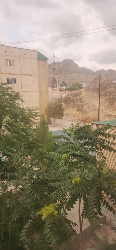 This image depicts an outdoor scene in what appears to be a residential area at the base of a rocky, arid mountain. The composition is dominated by a large tree with feathery green leaves in the foreground, partially obscuring the view of buildings and the landscape behind it. The tree has clusters of small, yellowish-green flowers or seed pods.

In the mid-ground, several multi-story buildings are visible. One building on the left is lighter in color, possibly concrete or stucco, with a tiled facade and several windows. A green-roofed structure, possibly another building or a covered walkway, is adjacent to it. Further back, more buildings with varied architectural styles are nestled against the hillside, some with pitched roofs. A power line tower and cables stretch across the sky, suggesting the presence of infrastructure. The mountain behind the buildings is steep and covered in dry, light-brown vegetation and rocks.

The sky is overcast with light gray clouds, indicating a cloudy or possibly hazy day. The light is diffused, suggesting it is daytime, but without strong shadows. The overall impression is one of a somewhat dry, possibly dusty environment, typical of a semi-arid or desert climate. The presence of trees and residential buildings suggests a settlement or town. There is no visible text in the image. The scene conveys a sense of everyday life in a mountainous region.