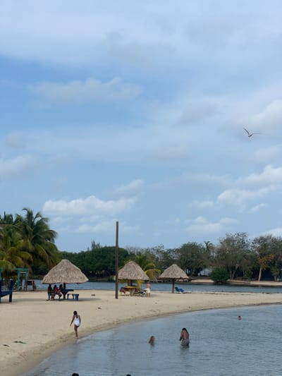 The image shows a beach in Placencia, Belize, with a sandy shore and clear water. Several people are visible in the water and on the beach, some swimming and others walking along the shore. There are thatched umbrellas on the beach, and tables and chairs nearby. Trees, including palm trees, line the edge of the beach. A bird is flying in the sky above.