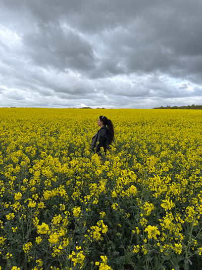 An image, captured in the Breckland District, United Kingdom, depicts a person standing amidst a vast field of vibrant yellow flowers under a cloudy sky. The scene is dominated by an extensive rapeseed (canola) field, its bright yellow blossoms filling the foreground, mid-ground, and extending into the distance.
On the right side of the frame, a person, appearing to be a young woman with long dark hair, is positioned within the tall yellow flowers. She is wearing a dark jacket and is looking downwards or slightly away from the camera, with her profile partially visible. Her presence suggests observation or interaction with the natural surroundings.
In the background, the expansive field meets a thin line of dark green trees on the horizon. The sky above is entirely covered by thick, grey, overcast clouds, indicating dull weather and diffused lighting throughout the scene. There is no visible text or explicit activity beyond the individual's presence in the field. The overall impression is one of natural beauty, with the vivid yellow of the flowers contrasting with the muted tones of the cloudy sky.