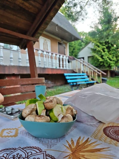 A close-up, low-angle outdoor shot captures a teal bowl filled with sliced zucchini and mushrooms. The bowl sits on a patterned tablecloth. To the right of the bowl, a white plastic bag is partially visible. In the background, a wooden structure with a brown roof extends into the frame. Beyond that, a building with white railings and a staircase leading up to it is visible. A blue bench is situated near the building. The environment appears to be a residential area with trees and greenery. The image was taken in Sosny, Ukraine.
