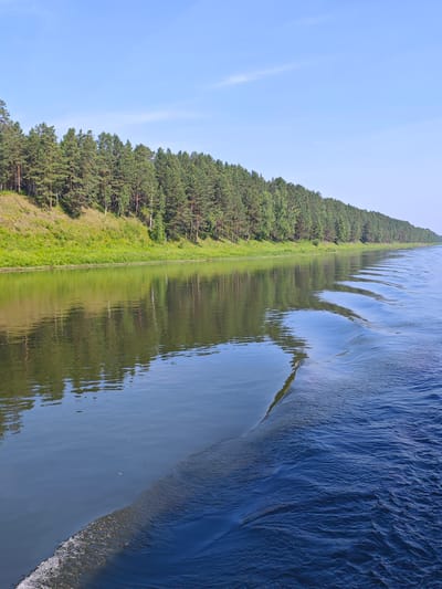 A wide, calm river flows towards the viewer, reflecting a lush green bank covered in pine trees and sparse grass. The sky above is a clear, bright blue with a few wispy white clouds. In the foreground, a wave trail from a moving boat cuts across the dark blue water, showing white foam where it breaks. The scene is serene and natural, typical of a river landscape in a rural area like Piskunovka, Russia.